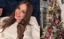 ¡De terror!: Critican árbol de Navidad de Cynthia Rodríguez