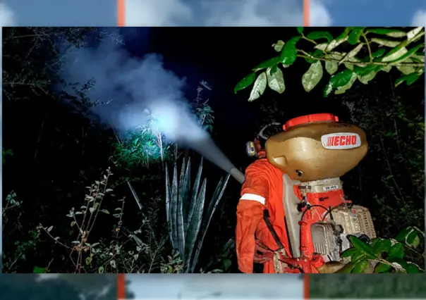 Controlan plaga de langosta centroamericana en Yucatán