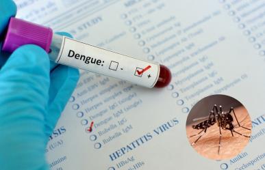 Descenso significativo en los casos de dengue en Yucatán