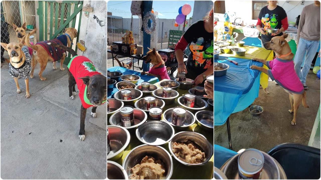 Organización Ayudar x Ayudar Rescatistas Unidos realiza emotiva Posada Canina en Matamoros, Tamaulipas. Foto. Facebook