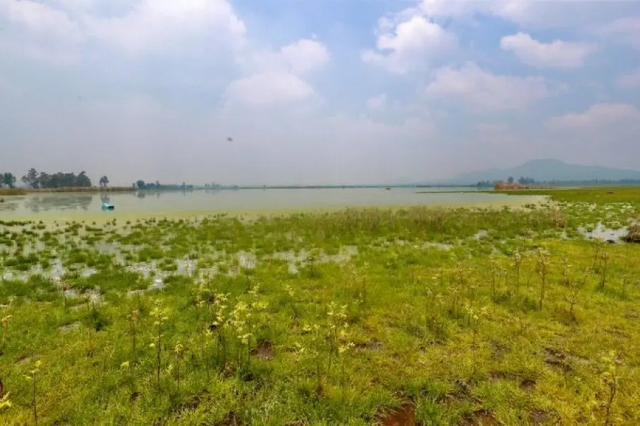 Rehabilitación de Lago Tláhuac - Xico. Imagen: Gob. De Valle de Chalco.