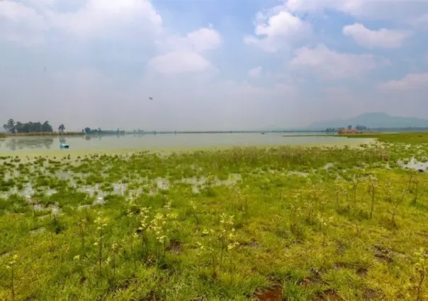 Reconocen a alcalde de Valle de Chalco por rehabilitación del Lago Tláhuac-Xico