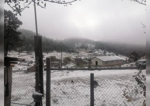Golpiza en parranda acaba con la vida de un habitante de Guanaceví