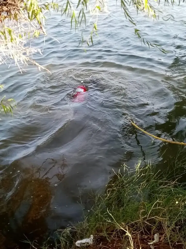 Decide nadar en un estanque en pleno invierno; muere ahogado