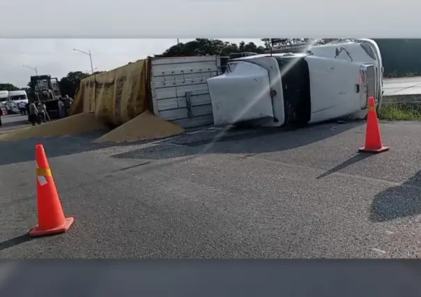 Volcadura de tráiler en Mérida: Toneladas de sorgo en el asfalto