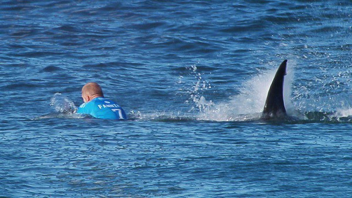 Testigos presenciales informaron que otro surfista asistió al adolescente después de que fuera mordido en la pierna por el tiburón. Foto: Archivo/ Agencia