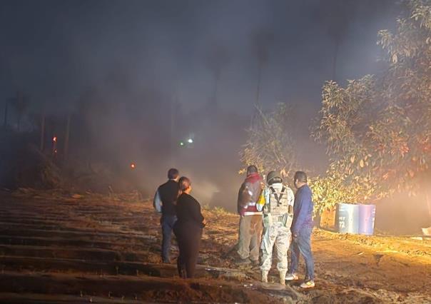 Sofocan incendio en los palmares de Todos Santos