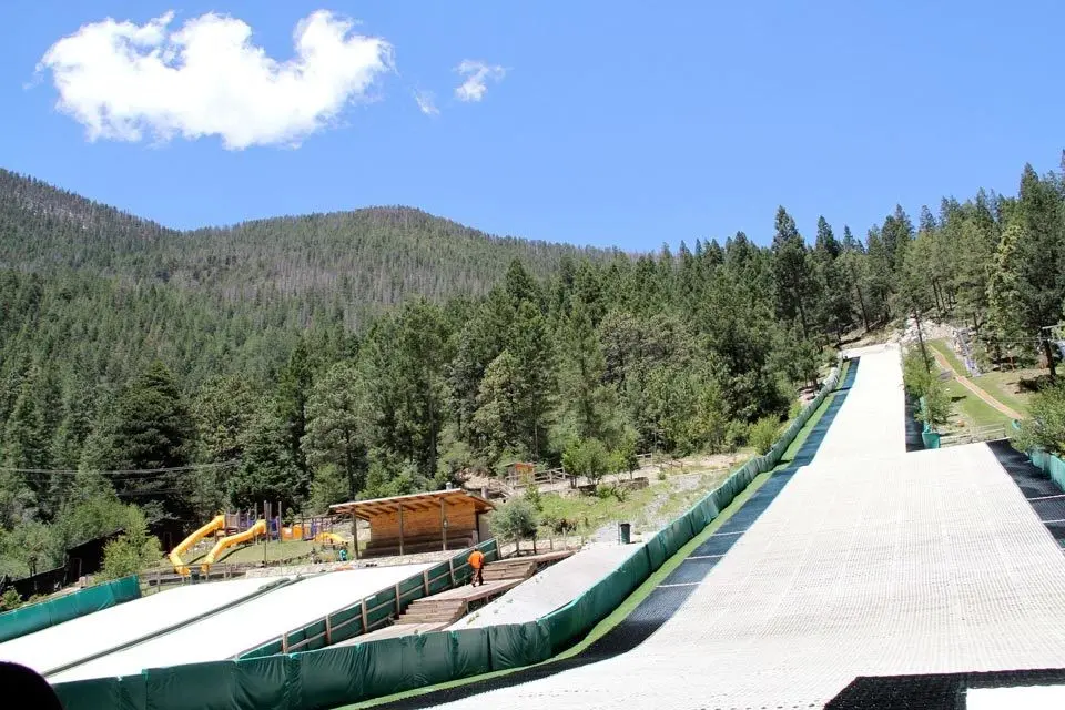 Arteaga, bosques de Monterreal. Fotografía de Gobierno.