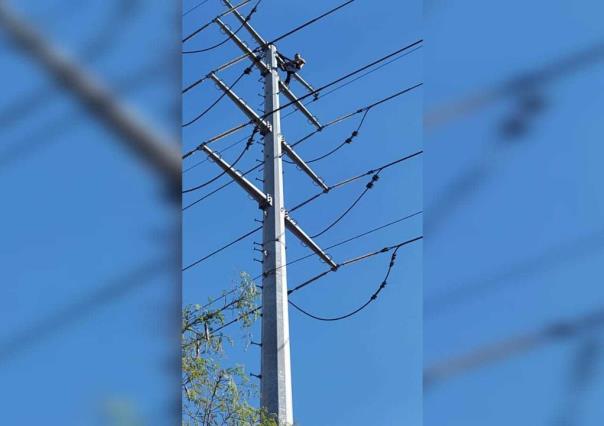 Amenaza hombre con lanzarse de poste; cortan energía eléctrica al Metro
