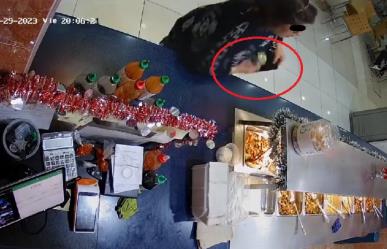 Captan a mujer robando bote de propinas en restaurante de comida china