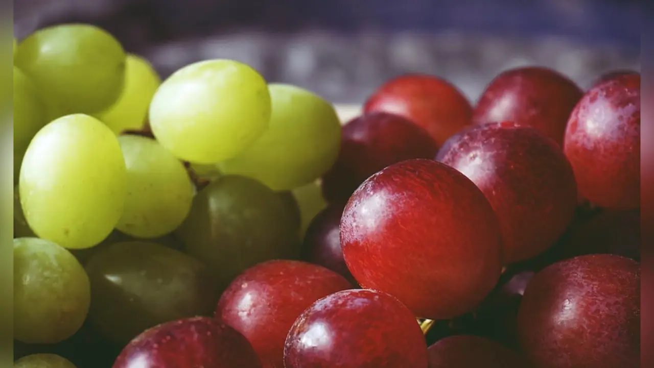 Los coahuilenses padecieron un aumento del 30% en el coste de la uva lo que podría poner en riesgo la tradición de las 12 uvas de Año Nuevo / Foto: Suzy Hazelwood