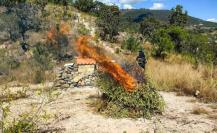 Destruyen presuntas bases de halconeo en Texcaltitlán y Almoloya de Alquisiras