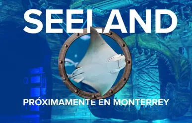 ¡Llegará acuario a Monterrey! Aquí te damos los detalles