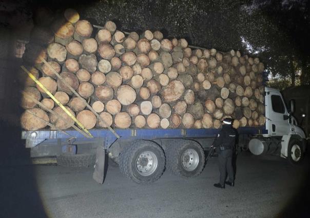 Asegura GN madera ilegal en Villa de Allende, hay 2 detenidos