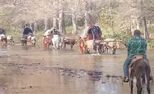 Peregrinación de carretas con bueyes de Linares al Chorrito Peregrinación de carretas con bueyes de Linares al Chorrito