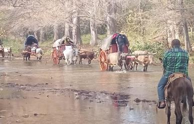 Peregrinación de carretas con bueyes de Linares al Chorrito