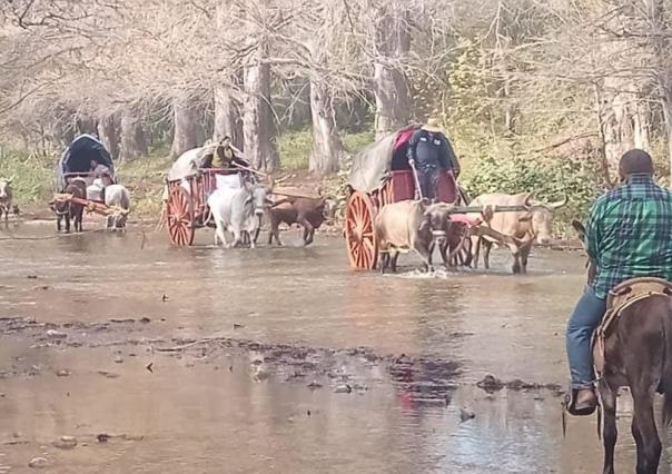 Peregrinación de carretas con bueyes de Linares al Chorrito