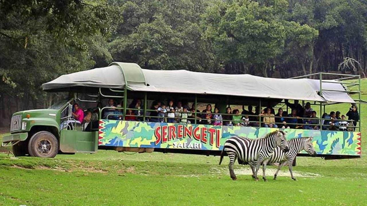 Descubre los mejores destinos turísticos para disfrutar en familia en el Edoméx. Foto: @bioparqueestrellamexico