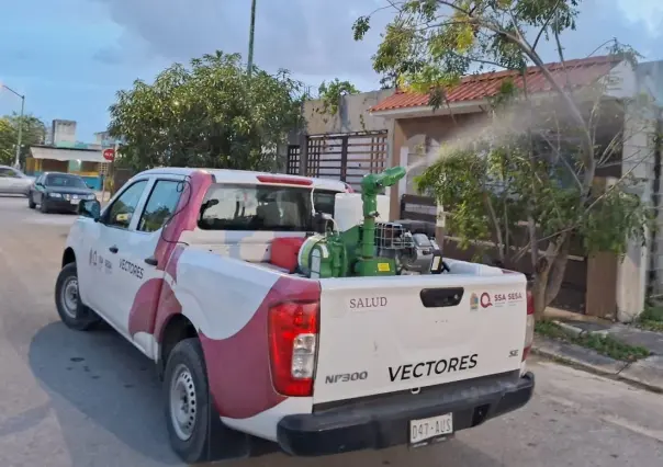 Quintana Roo rompe récord de casos de dengue: más de 5k infectados y 22 muertos