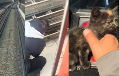 Conductor del Metro de Ciudad de México rescata a gatito en peligro. (VIDEO)