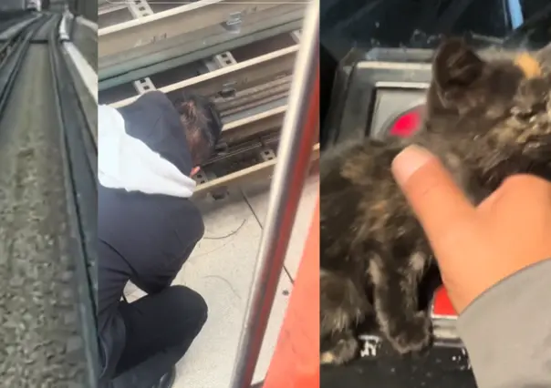 Conductor del Metro de Ciudad de México rescata a gatito en peligro. (VIDEO)