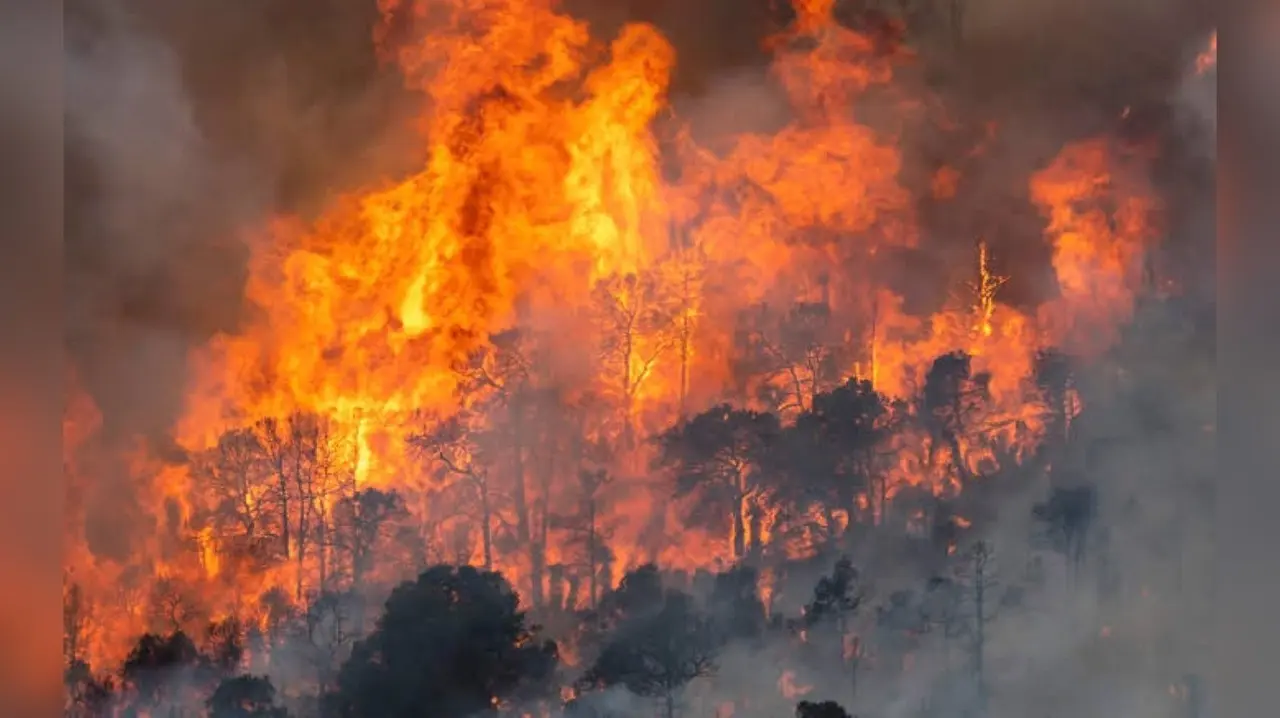 Durango entre los estados con más incendios forestales y con mayor superficie dañada a causa de ellos. Foto: El Siglo de Durango.