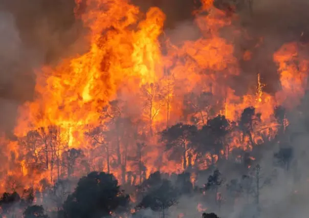 Aparece Durango entre los estados con más incendios forestales en 2023