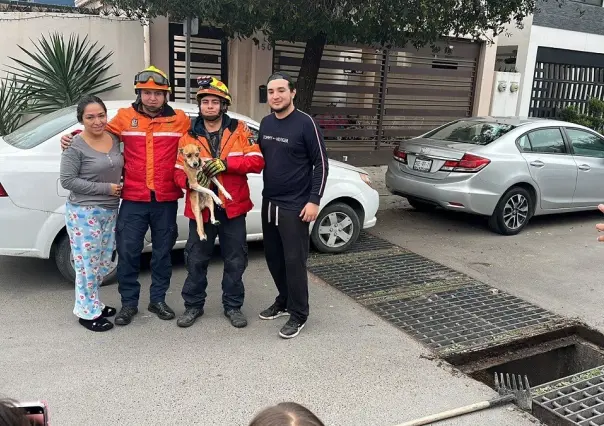 Rescatan a perrito atrapado en alcantarilla de Escobedo