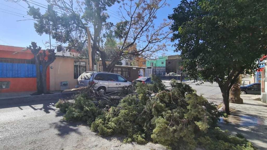 Fuertes vientos provocan distintos daños en Saltillo