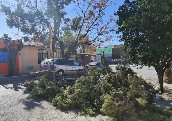 Fuertes vientos provocan distintos daños en Saltillo