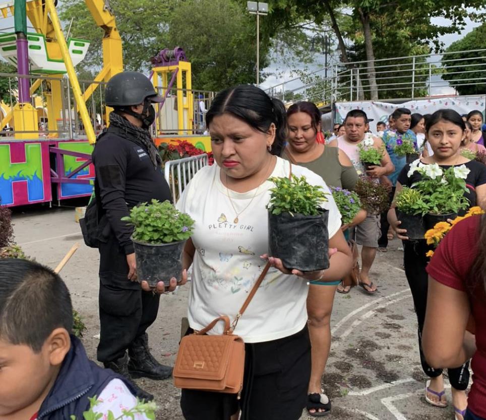 Un caos se registró en Umán luego de que personas quitaron las vallas para llevarse las plantas de un atractivo navideño.- Foto de Omar Xool