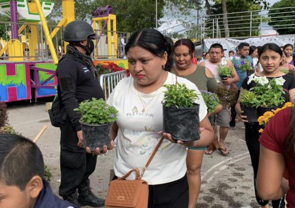 Descontrol en Umán: regalan plantas y se convierte en un alboroto