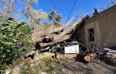 Interrumpen ráfagas de viento suministro eléctrico en Parras