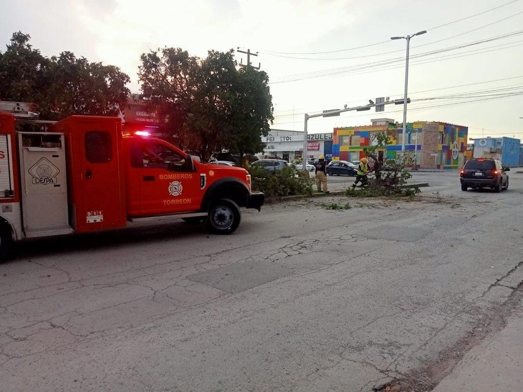 Las fuertes ráfagas de viento han derrumbado árboles en Torreón. (Fotografía: Gobierno de Torreón)