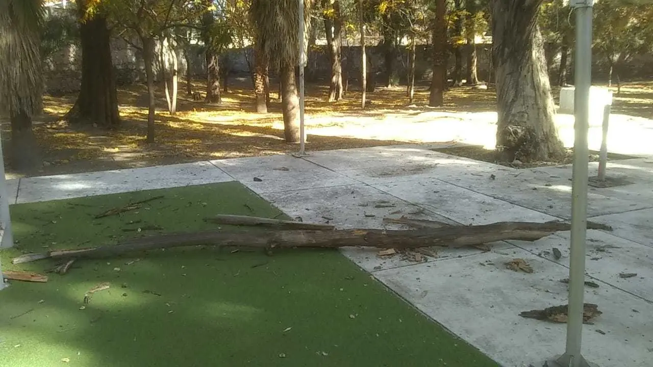 Hasta el momento, solo se han reportado la caída de ramas en los parques Guadiana y Sahuatoba. Foto: Cortesía.