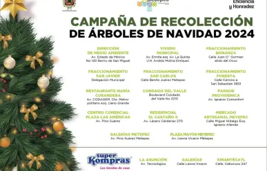 Entrega tu árbol de navidad en Metepec y dale una segunda vida