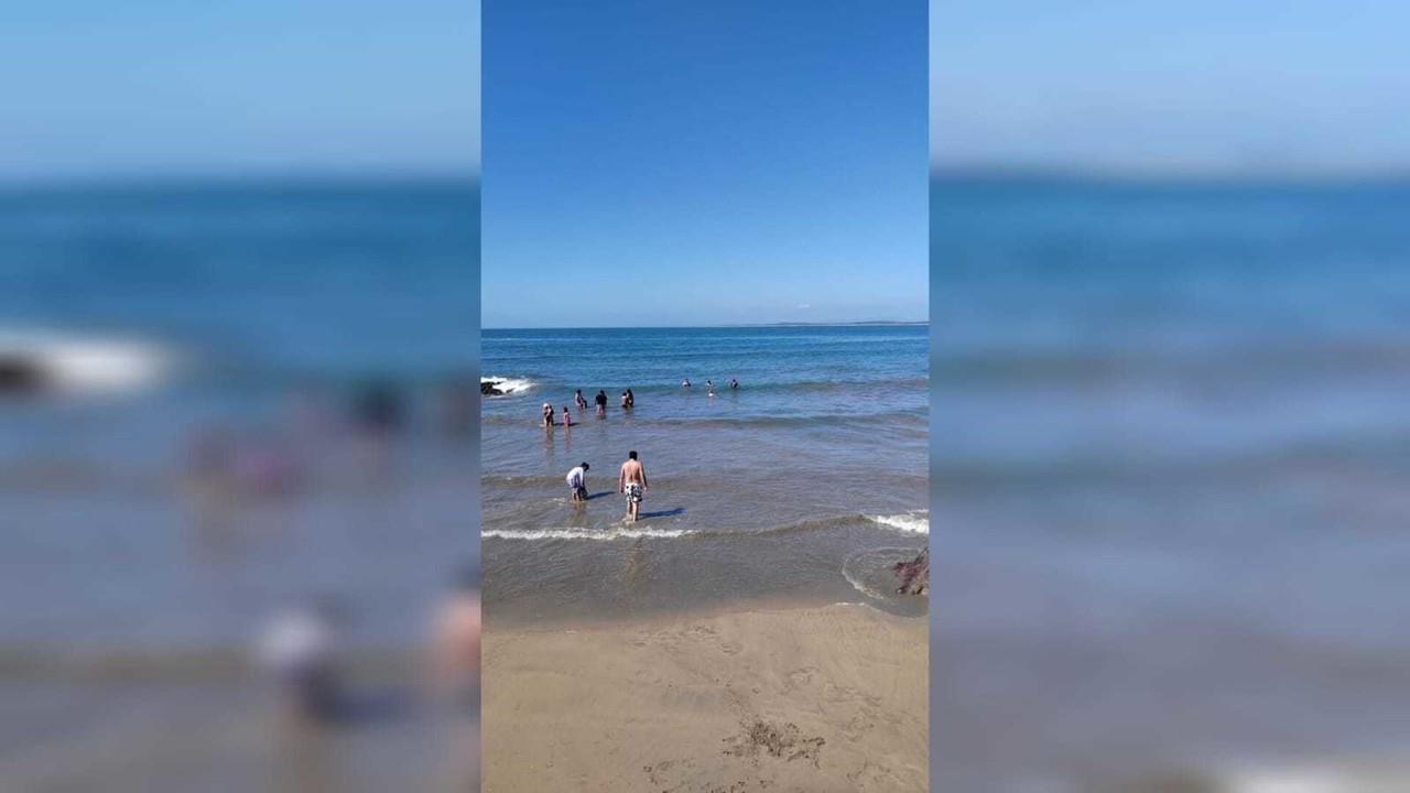 Carnaval de Mazatlán: ¿Cuánto cuesta el hospedaje a un mes del evento?