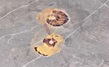 Un mundo prehistórico en el piso del STC Metro de CDMX