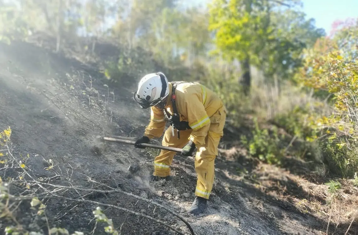 Según lo informado por el director de la corporación, Erick Cavazos, medio centenar de elementos de rescate se encuentran en la búsqueda de sofocar el incendio. Foto: Especial.