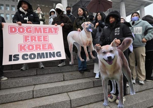 Prohíbe Corea del Sur comercializar carne de perro