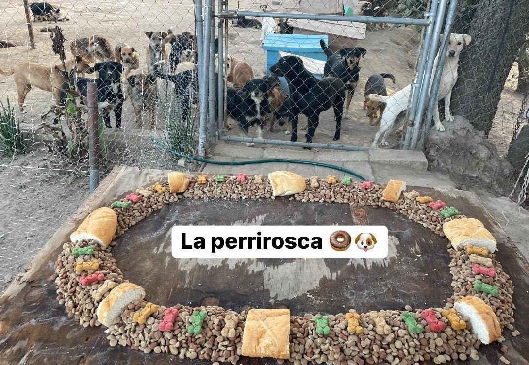 Por medio de Facebook, la fundación “Orejitas de Gala compartió la emotiva historia. Foto: Facebook.