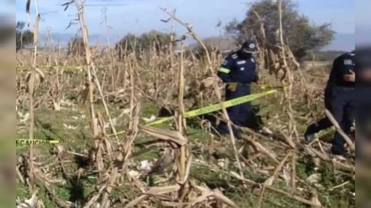Descubren restos humanos en milpas de Cacalomacán. Foto: RRSS