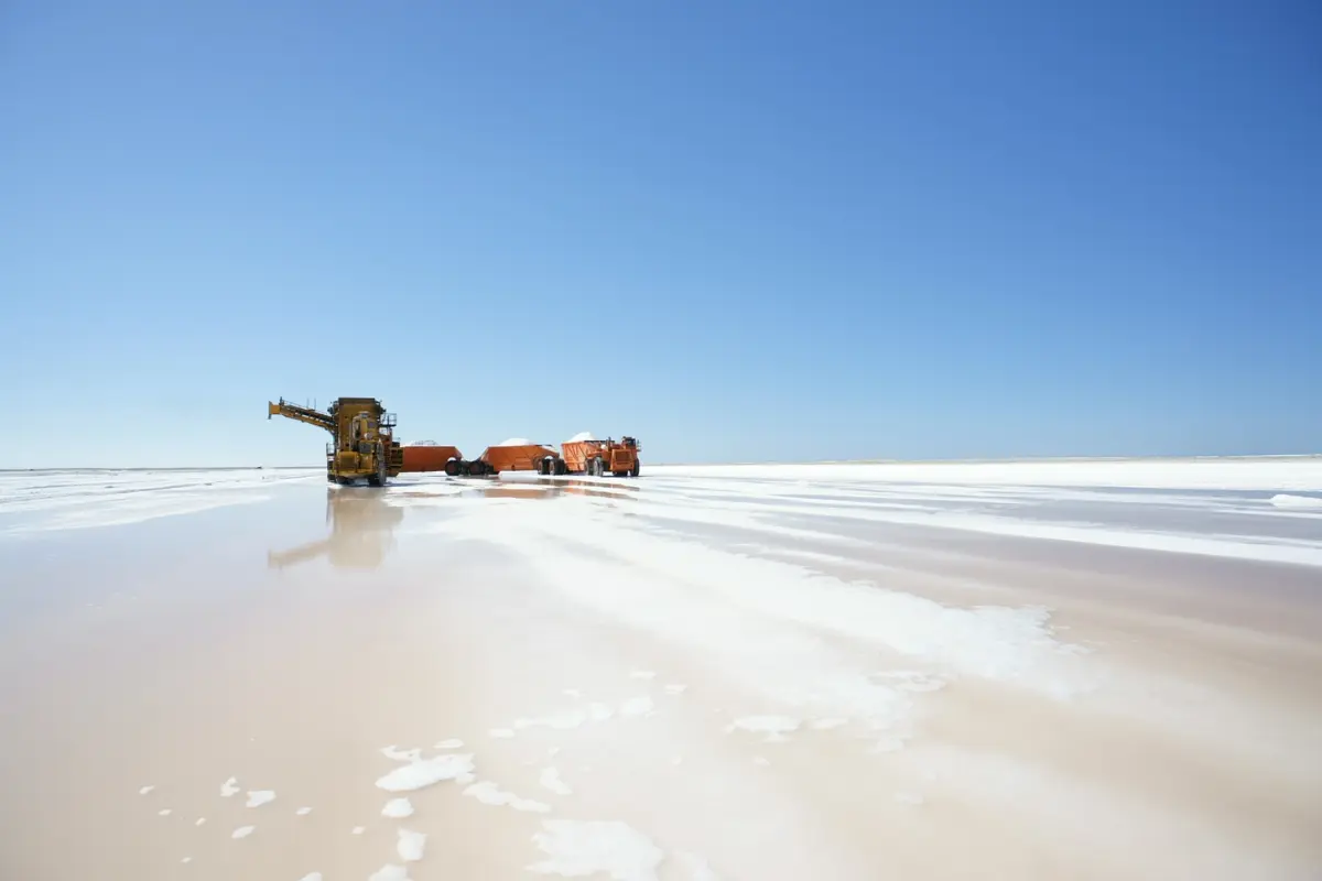 Visita la salinera más grande del mundo en BCS
