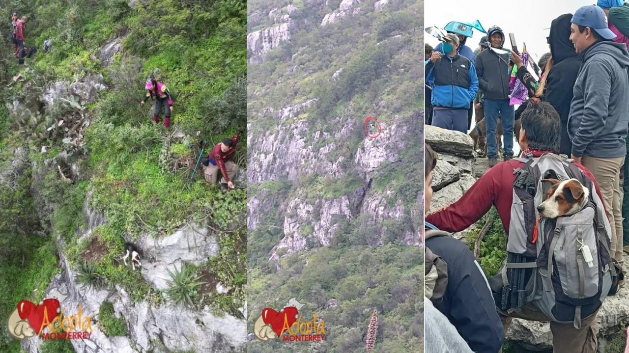 En algunas imágenes se observa como los mismos senderistas se adentran al camino rocoso para poner a salvo al lomito de color blanco con negro que se encontraba en el barranco. Fotos: Adopta Monterrey