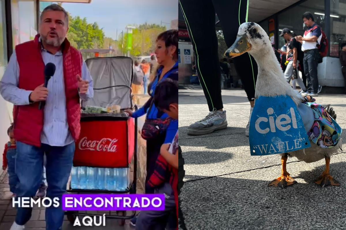 Envenenaron a Waffle, patita que vendía agua con su pequeño dueño.