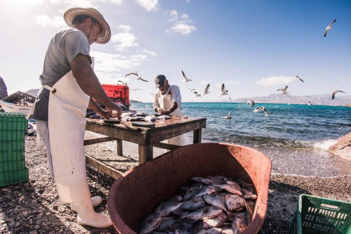 Esta es la isla más pequeña habitada del mar de Cortés