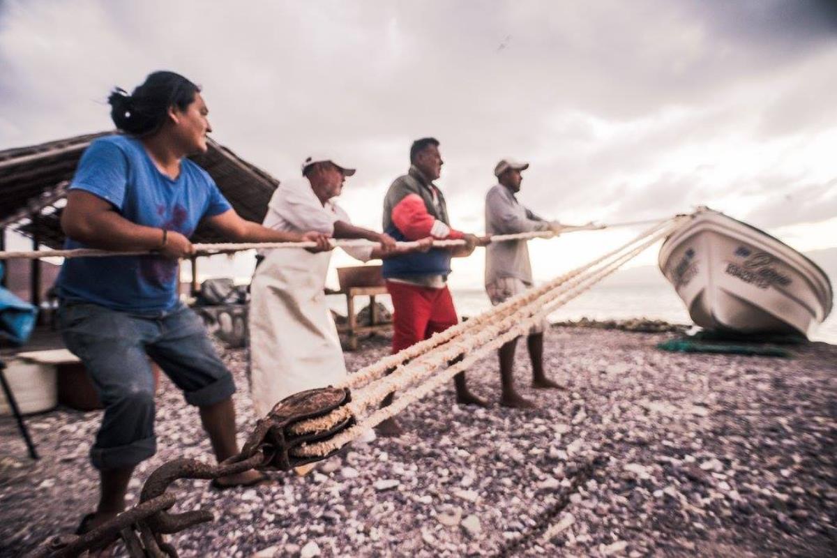Esta es la isla más pequeña habitada del mar de Cortés