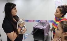 Mérida contará con un segundo Esterimóvil