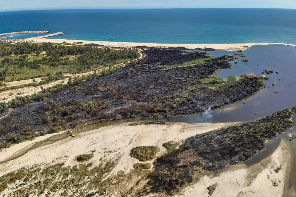 Zona de anidación de aves afectada por incendio. Foto: Facebook / Departamento de Bomberos de San José del Cabo