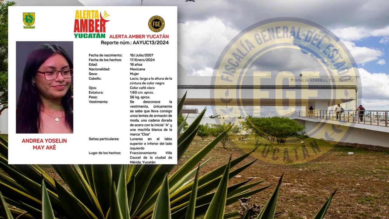 Andrea Yoselin May Aké fue vista por última vez el 17 de enero del 2024 Foto: FGE